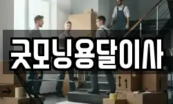 굿모닝용달이사