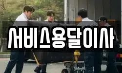 서비스용달이사