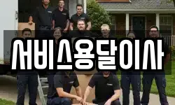서비스용달이사