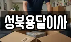 성북용달이사
