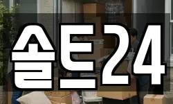 솔트24