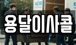 용달이사콜