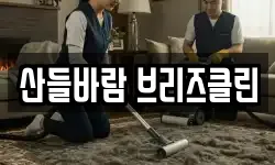 산들바람 브리즈클린