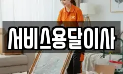 서비스용달이사