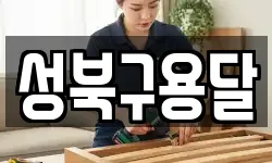 성북구용달