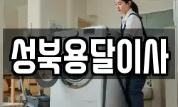 성북용달이사