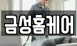 금성홈케어