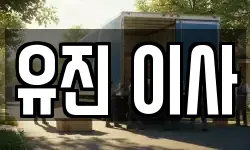 서울특별시 성북구 성북동 이사,용달이사,포장이사,원룸이사,보관이사