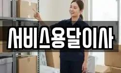 서비스용달이사