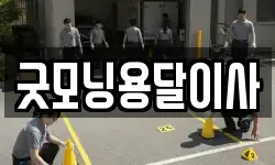 굿모닝용달이사