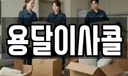용달이사콜
