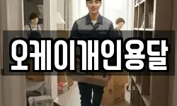오케이개인용달