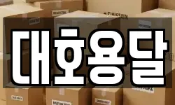 서울특별시 성북구 안암동5가 이사,용달이사,포장이사,원룸이사,보관이사