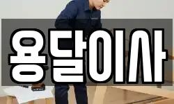 용달이사