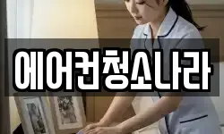 에어컨청소나라