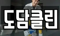 도담클린