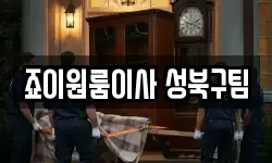 죠이원룸이사 성북구팀