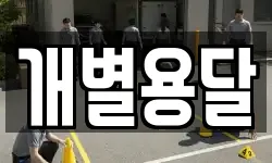 개별용달