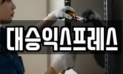대승익스프레스