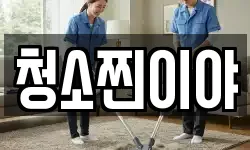 청소찐이야