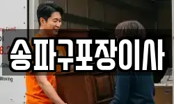 송파구포장이사