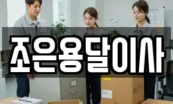 조은용달이사