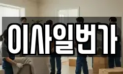 이사일번가