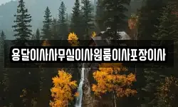 용달이사사무실이사원룸이사포장이사