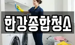 한강종합청소