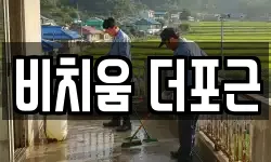 비치움 더포근