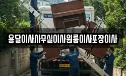 용달이사사무실이사원룸이사포장이사