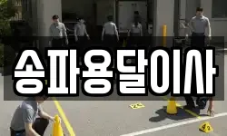 송파용달이사