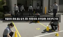 믿음이사,원룸,용달,일반,포장,반포장이사,이삿짐보관,이사견적24시