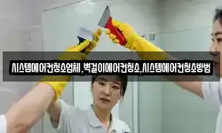 시스템에어컨청소업체,벽걸이에어컨청소,시스템에어컨청소방법