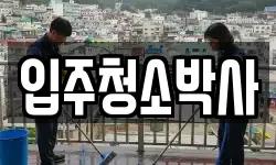 입주청소박사