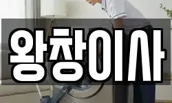 왕창이사