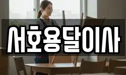 서호용달이사