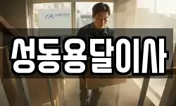 성동용달이사
