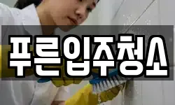 푸른입주청소