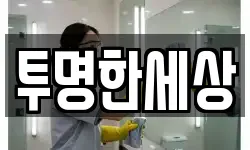 투명한세상