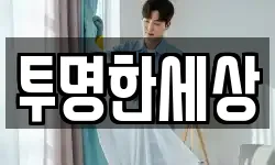 투명한세상