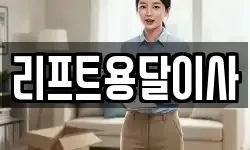 리프트용달이사