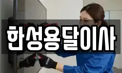 한성용달이사