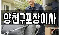 양천구포장이사