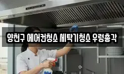 양천구 에어컨청소 세탁기청소 우렁총각