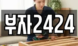 부자2424