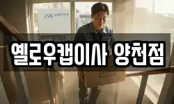 옐로우캡이사 양천점