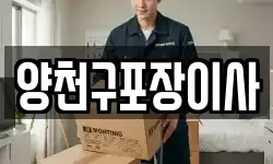 양천구포장이사