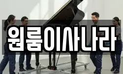 원룸이사나라