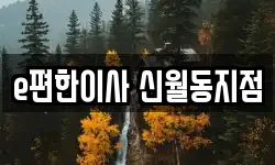 e편한이사 신월동지점